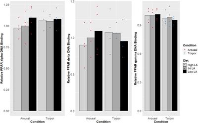 Regulation of Peroxisome Proliferator-Activated Receptor Pathway During Torpor in the Garden Dormouse, Eliomys quercinus